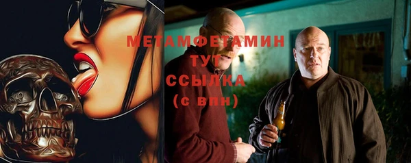 гидра Аркадак