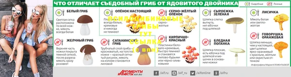 соль ск Алексин