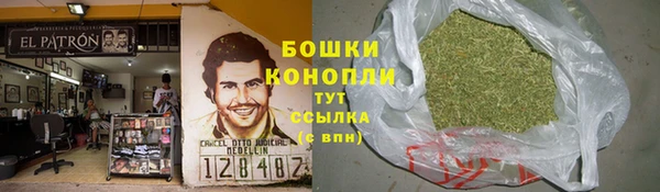гидра Аркадак