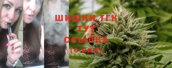 винт Арсеньев