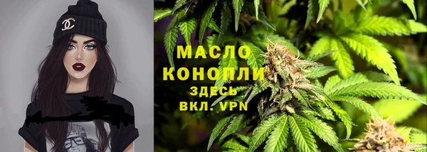 гидра Аркадак