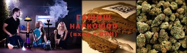 гидра Аркадак