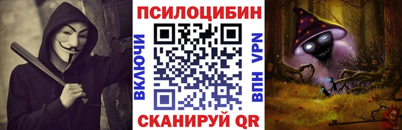 Псилоцибиновые грибы Psilocybe  Стародуб 