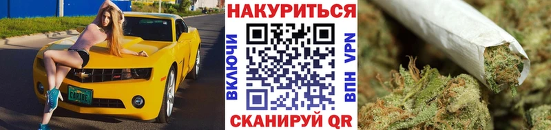 Бошки марихуана индика Стародуб